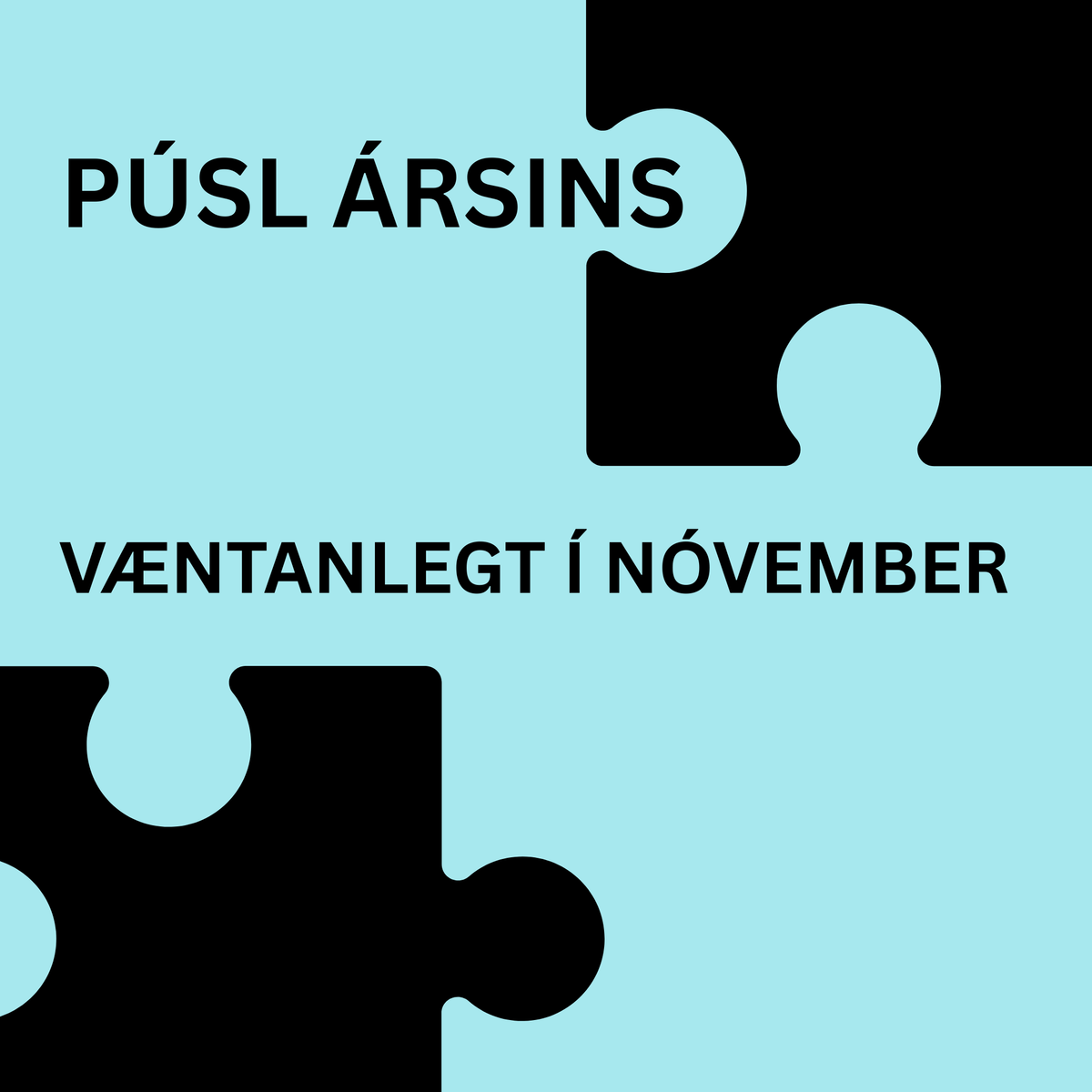 PÚSL ÁRSINS